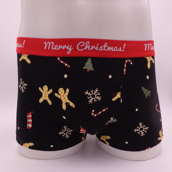 XCX18MUN0348  men's Christmas under pant