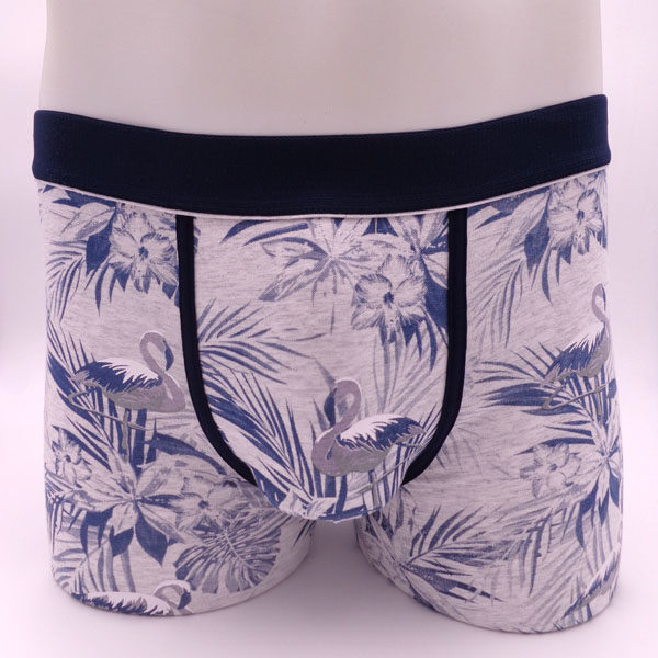 XCX17MUN029 men underwear