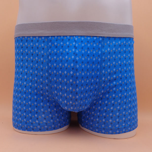 Male underpants 3