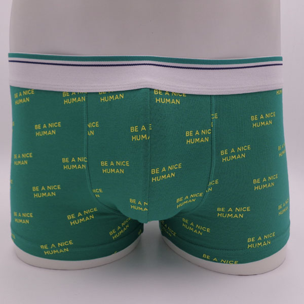 Male underpants 8
