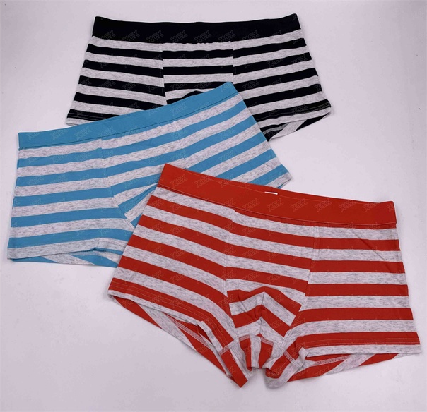 Men's trunk,men's underwear, men's boxer, organic cotton