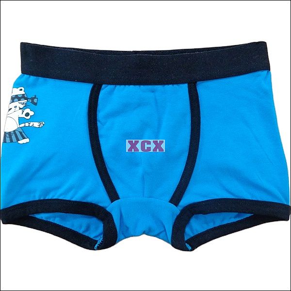 XCX13662